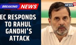 Rahul Gandhi Should Have Addressed The Election Commission Formally: Sources | Maharashtra Elections