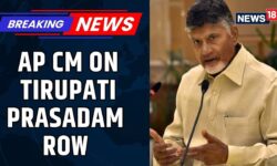 Tirumala Prasad Row | Religious Places Must Be Treated With Sanctity, Says Chandrababu Naidu |News18