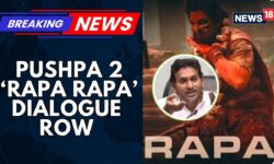 Allu Arjun's Movie Dialogue, Rapa Rapa Sparks Political Tension in Andhra Pradesh | News18