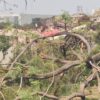 Ahmedabad Plane Crash: Air Hostess's Body Found In Aircraft's Tail, Black Box Decoding On