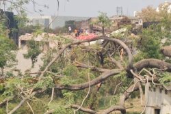 Ahmedabad Plane Crash: Air Hostess's Body Found In Aircraft's Tail, Black Box Decoding On