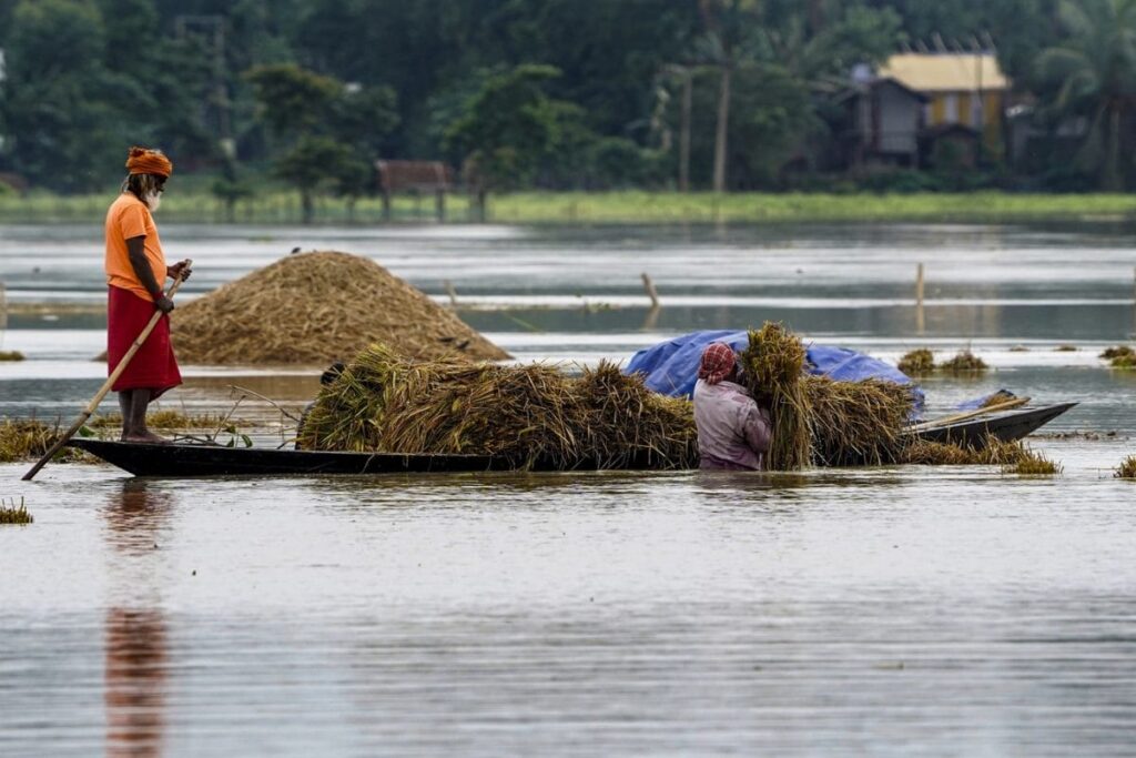 50,000 People In Odisha's Balasore Affected By Subarnarekha River Flash Flood