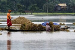 50,000 People In Odisha's Balasore Affected By Subarnarekha River Flash Flood