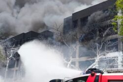 Air India Crash Blaze Reached Nearly 1,000°C; Birds, Dogs Too Faced Wrath