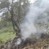 Kedarnath Chopper Crash: Pilot Who Lost His Life Became Father Of Twins Two Months Ago