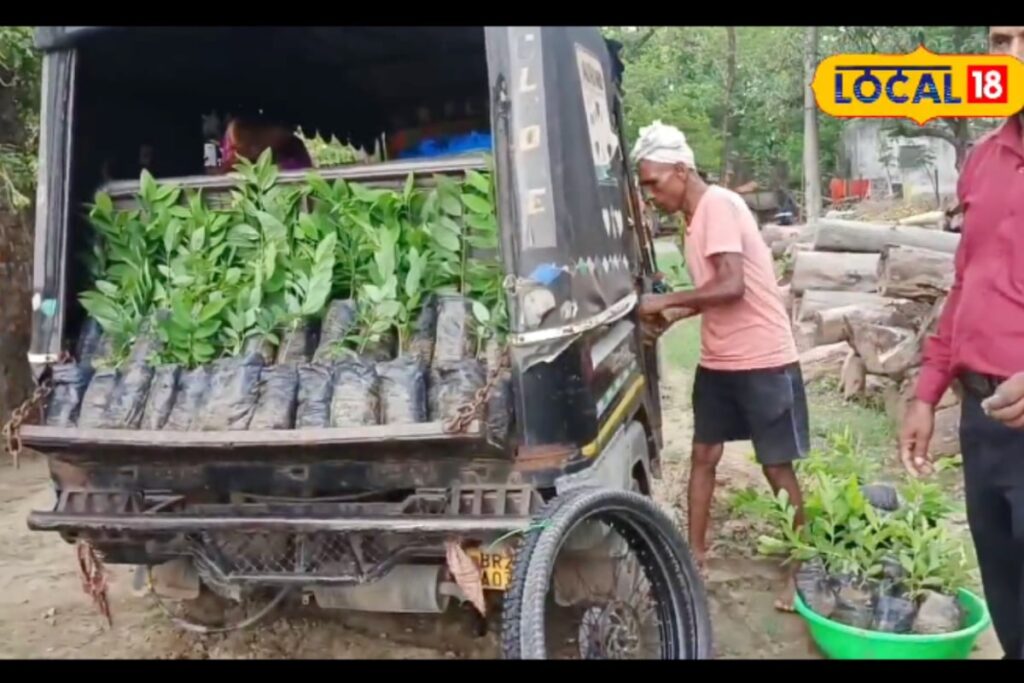 Keep These Plants Alive For 3 Years And The Govt Will Pay You 7x Your Investment