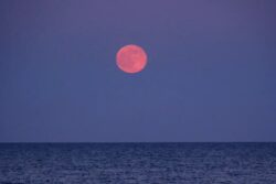 Strawberry Moon 2025: Your Guide To Watching This Rare Celestial Event In India