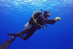 Indian Engineer Dies During Scuba Diving Session At Dubai’s Jumeirah Beach