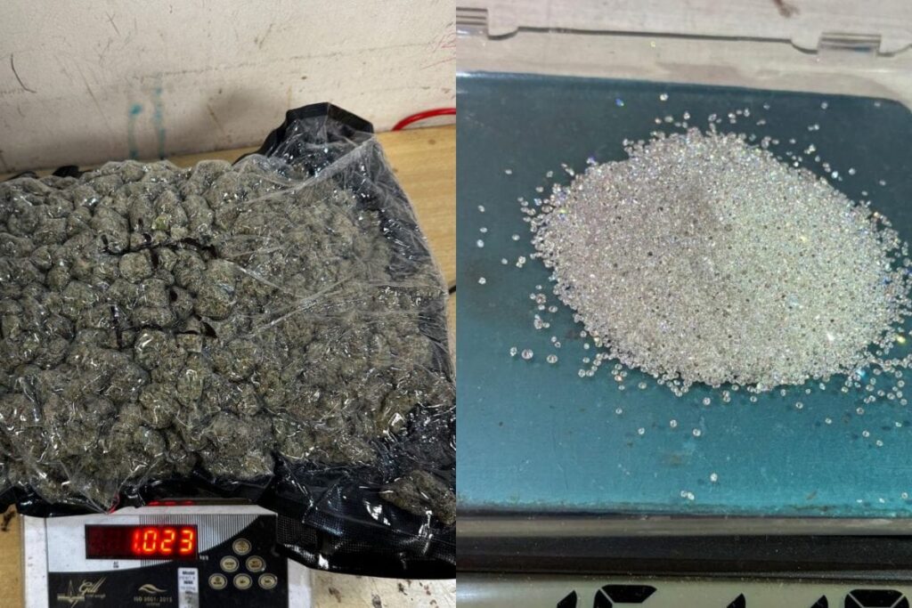 Hydroponic Weed Valued At Rs 25 Crore Smuggled From Thailand Seized At Mumbai Airport; 3 Arrested