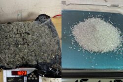 Hydroponic Weed Valued At Rs 25 Crore Smuggled From Thailand Seized At Mumbai Airport; 3 Arrested