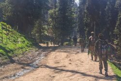 From Abbottabad Via Muzaffarabad: What Route Did Pahalgam Terrorists Take To Reach Attack Site?