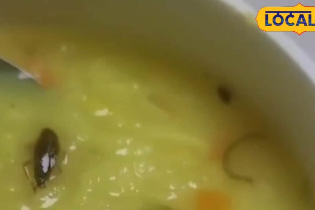 Cockroach In Patient's Khichdi At Noida's Fortis Hospital Sparks Outrage, Probe Ordered