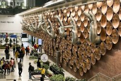 Delhi Airport Bomb Threat: Note On Tissue Paper Sparks Emergency, Later Declared Hoax