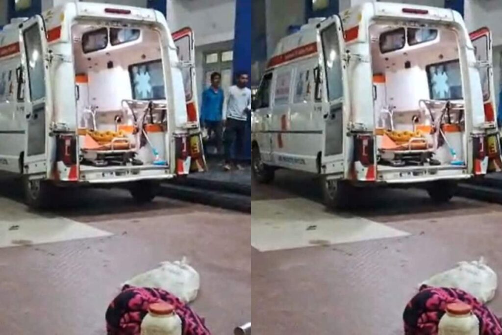 Chaos In MP Hospital As Snakebite Victim’s Family Brings Along The Cobra That Bit Him