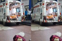 Chaos In MP Hospital As Snakebite Victim’s Family Brings Along The Cobra That Bit Him