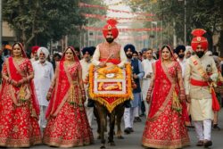 Amritsar Man Reaches Wedding Venue With 'Baraat' Only To Find 'UK-Based' Bride Missing