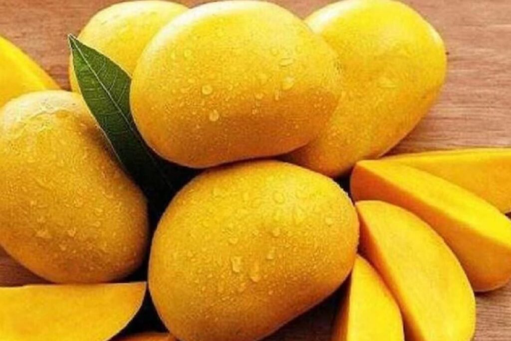 ‘Rajnath Aam’: Mango Man Kalimullah Khan Names His New Variety After Defence Minister