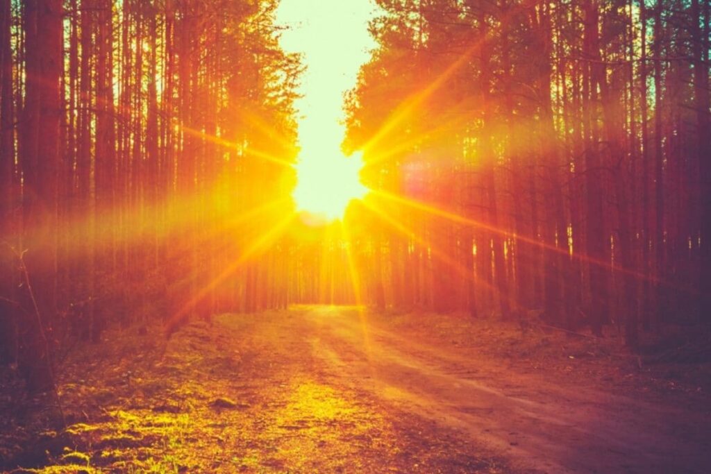 Aaj Ka Panchang, June 15, 2025: Tithi, Vrat And Today’s Shubh, Ashubh Muhurat