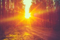 Aaj Ka Panchang, June 15, 2025: Tithi, Vrat And Today’s Shubh, Ashubh Muhurat