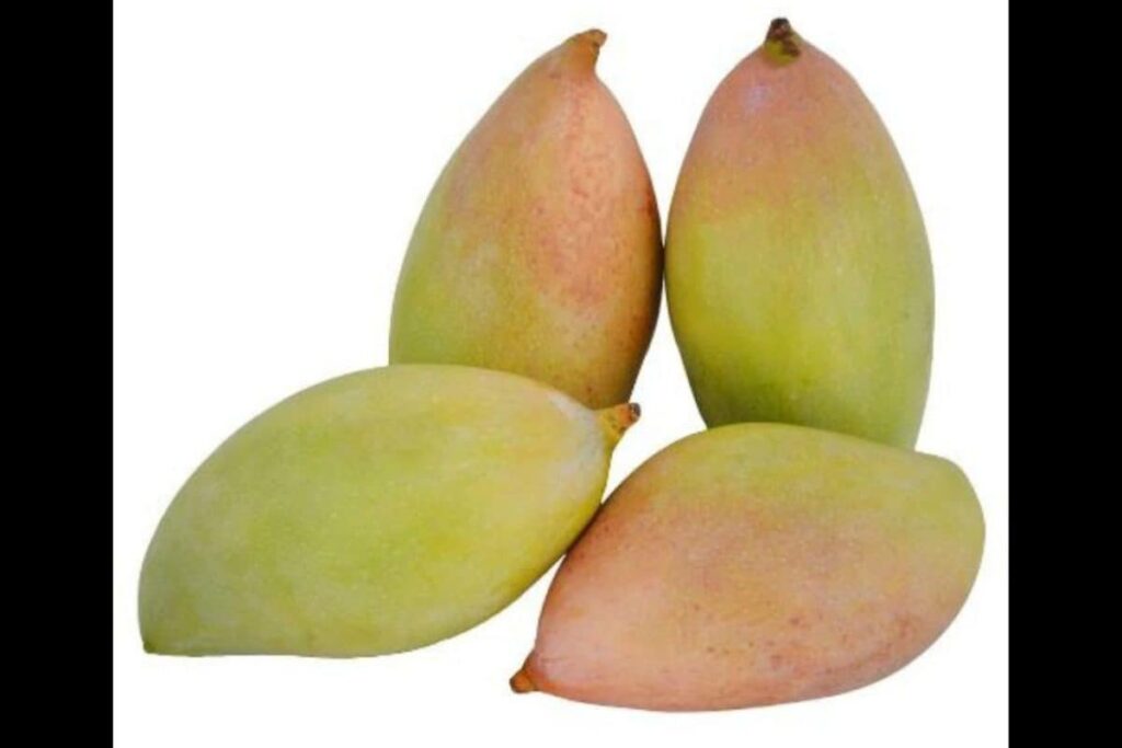 Karnataka’s Totapuri Mango Growers In A Squeeze As Andhra Pradesh Ban Cuts Off Key Markets