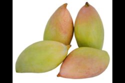 Karnataka’s Totapuri Mango Growers In A Squeeze As Andhra Pradesh Ban Cuts Off Key Markets