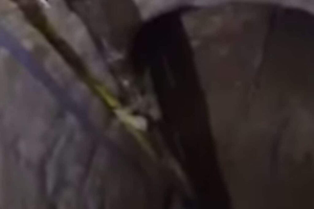 Jaipur Man Digs 25-Feet Underground Tunnel To Steal Diesel | Video