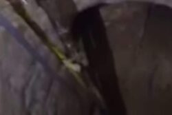 Jaipur Man Digs 25-Feet Underground Tunnel To Steal Diesel | Video