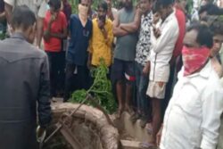 Bodies Of A Woman And Child Found In Separate Wells 30 Metres Apart In Chhattisgarh Village