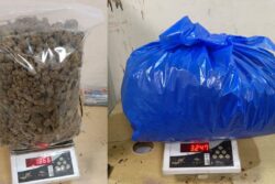 Mumbai Airport’s Customs Team Arrests 3, Seizes 8.6Kg Hydroponic Weed Worth Over Rs 8 Crore
