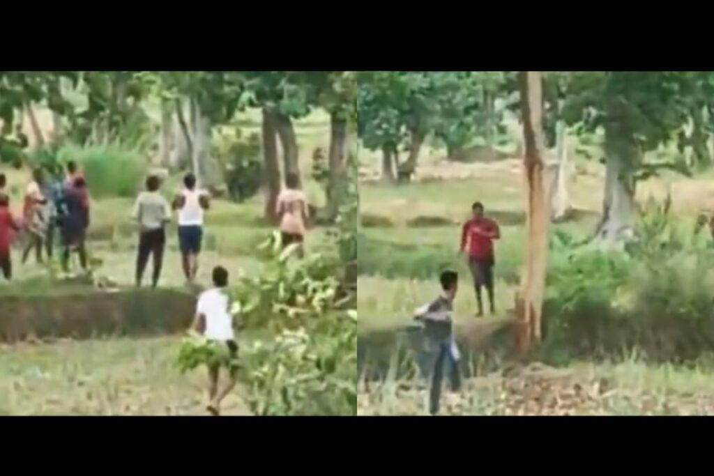 Youths Chase Tiger, Pelt Stones In Maharashtra; Big Cat Turns Back, Sends Them Running | Watch