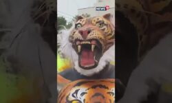 Roaring Ready: Coimbatore Gears Up for International Tiger Day 2025 | Tamil Nadu All Set! | N18S