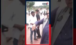 Renuka Chaudhary ‘Very Upset’ With Shashi Tharoor | "You Never Call Me For A Mango Party" | N18S