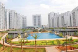 Chicken Curry Smells To Pet Poop DNA Tests: Reddit Discussion Reveals Life In Bengaluru Apartments