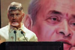 'Narsimha Rao Learnt 17 Languages': Andhra CM Naidu Backs Hindi Adoption