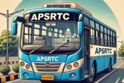 'Home District' Rule Dilutes Chandrababu Naidu's Free Bus Travel For Women Promise, Sparks Row