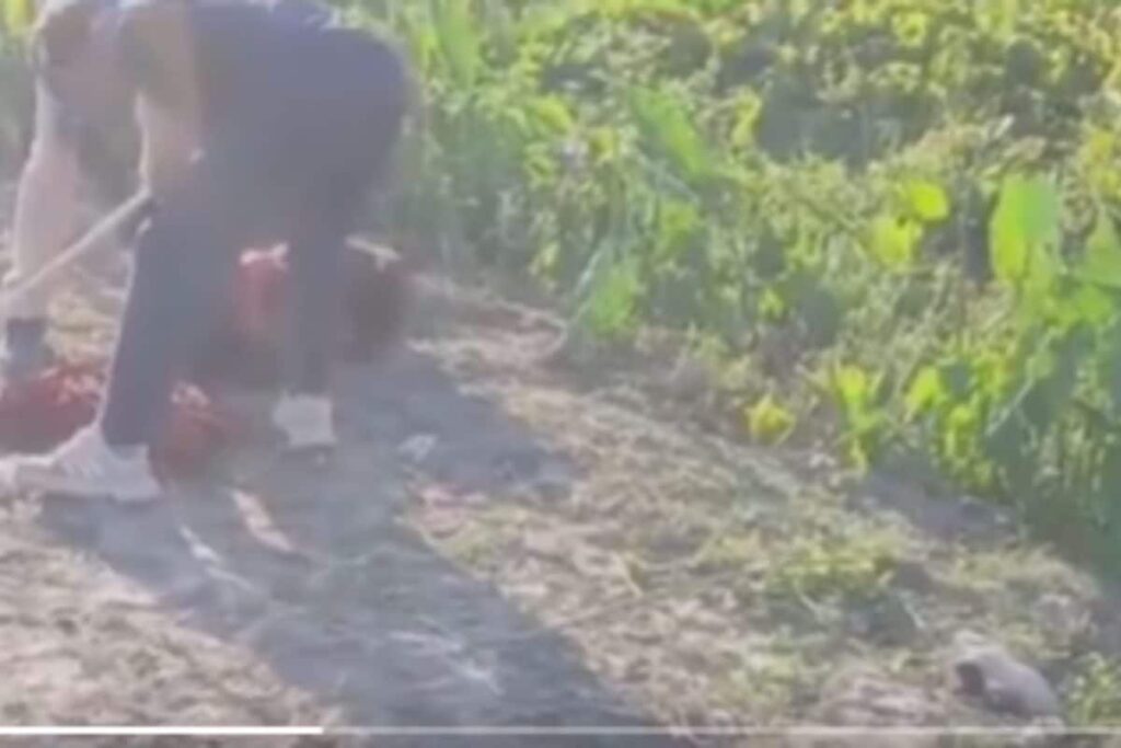 Five Family Members Lynched, Burnt Over Witchcraft Allegations In Bihar’s Purnea