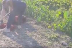 Five Family Members Lynched, Burnt Over Witchcraft Allegations In Bihar’s Purnea