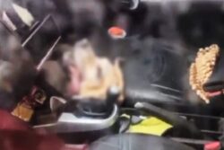 Locked In Car, Dog Dies Of Suffocation While Owners Visit Temple Amid Scorching Heat | Video