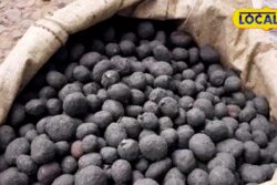 Katrua Returns To Pilibhit — Along With Memories Of The 1992 Khalistani Massacre