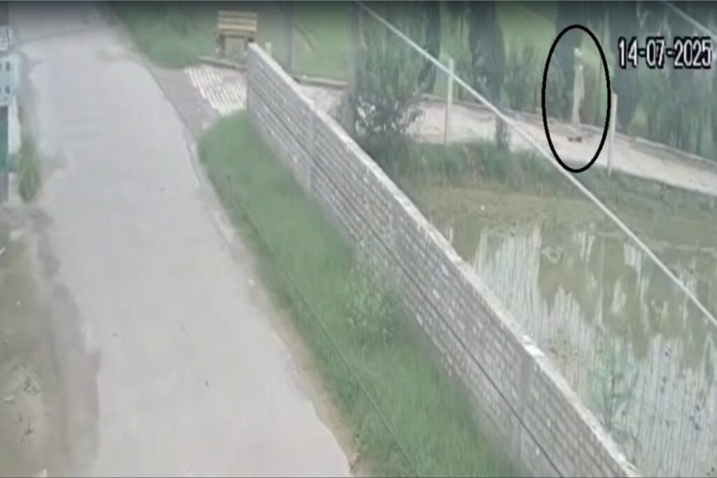 Marathoner Fauja Singh Seen Walking Towards Highway Before Hit-And-Run, CCTV Video Emerges