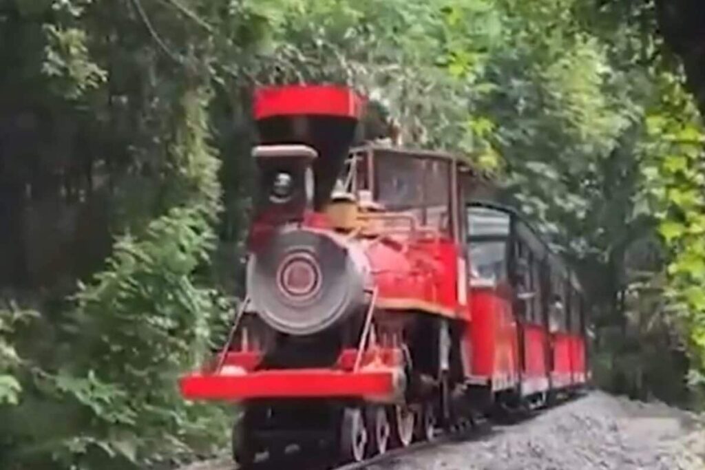 Mumbai’s Van Rani Toy Train Resumes Service At Sanjay Gandhi National Park After 3-Year Pause