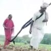Viral Video Of Debt-Hit Farmer Pulling Plough Moves Minister To Clear His Rs 42,500 Loan