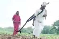 Viral Video Of Debt-Hit Farmer Pulling Plough Moves Minister To Clear His Rs 42,500 Loan