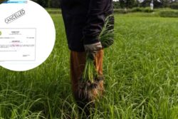 ‘India’s Poorest Man’: MP Farmer Listed With Rs 3 Annual Income, Administration Says Error Fixed