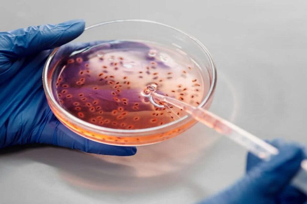 Nipah Virus Resurfaces In Kerala: How It Spreads And Why You Should Be Cautious