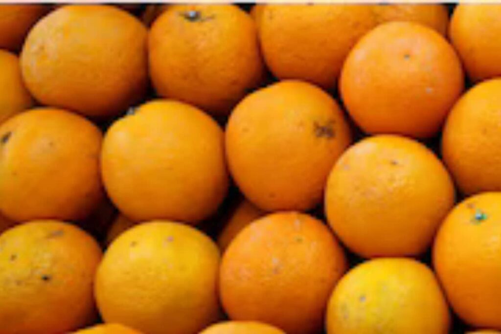 'Pulp Fiction? Not Quite': How Indian Oranges Are Powering A French Medicine To Treat Varicose Veins