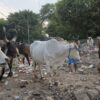 'Want To Build Disneyland?': Ex-Jet Airways CEO Shares Photos Of Garbage On Gurgaon's Streets