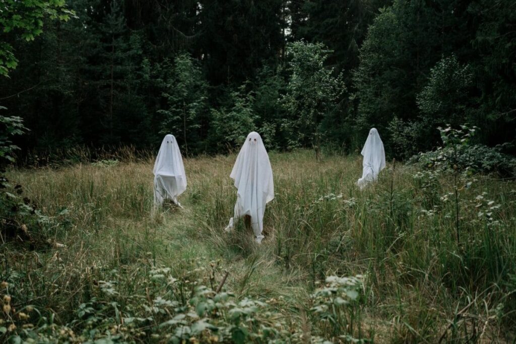 Maharashtra's Vasai Locals Stage Ghost-Themed Protest Against Cemetery Recreational Equipment