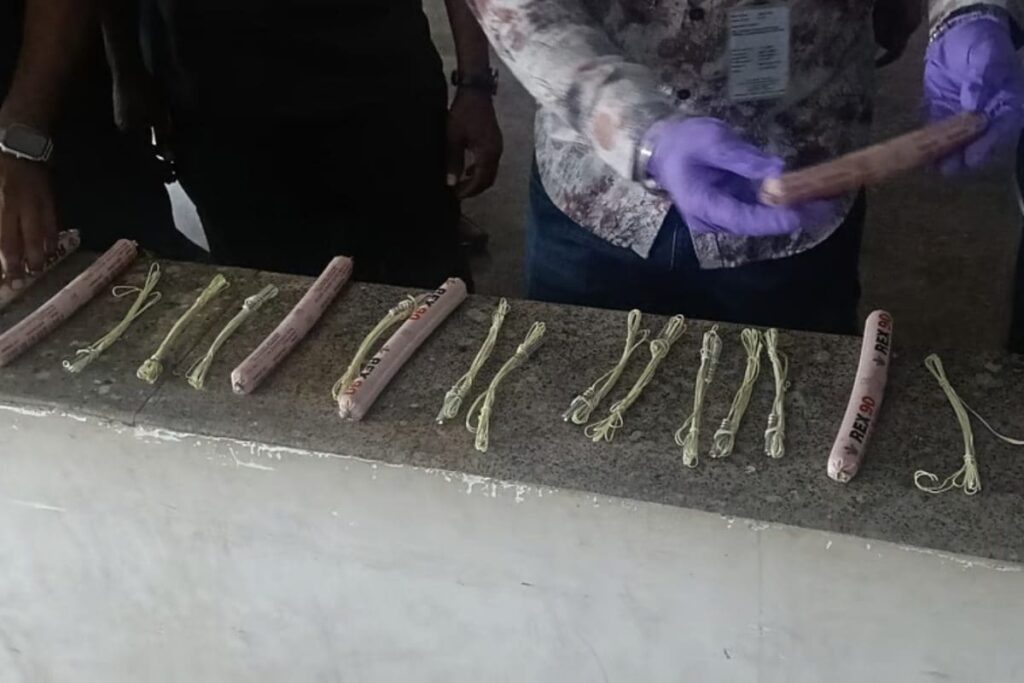 Six Gelatin Sticks, Detonators Found Inside Bag Near Bengaluru Bus Stop Toilet, Probe On