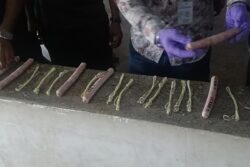 Six Gelatin Sticks, Detonators Found Inside Bag Near Bengaluru Bus Stop Toilet, Probe On